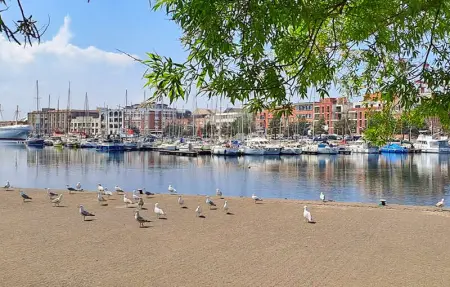 Location Maison 6 personnes à EPERLECQUES - Photo 24