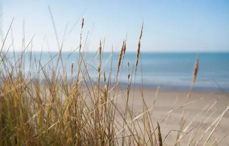 Location Maison 6 personnes à EPERLECQUES - Photo 25