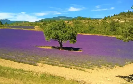 Maison avec jacuzzi, Maison 4 personnes à Mazan - Photo 17