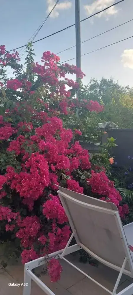 Maison avec piscine privée à Anse-Bertrand, Maison 2 personnes à Anse Bertrand - Photo 12