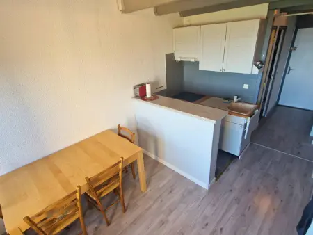 Duplex 6 pers, animaux admis, balcon sud, Chaillol 1600 - Photo 15