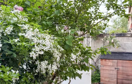 Charmante maison de ville, Maison 6 personnes à Chantilly - Photo 9