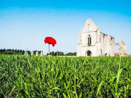 La Faisanderie, Maison 6 personnes à Ile de Re - Photo 21