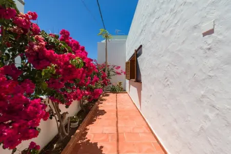 Agaete Pupe Home by Canariasgetaway, Chalet 6 personnes à Agaete - Photo 45