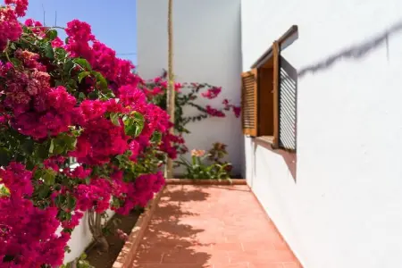 Agaete Pupe Home by Canariasgetaway, Chalet 6 personnes à Agaete - Photo 63