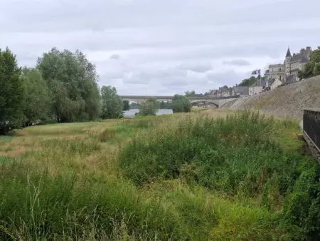 Grand T2 centre historique d' Amboise-bords de Loire - Photo 3