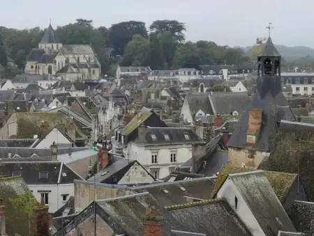 Grand T2 centre historique d' Amboise-bords de Loire - Photo 15