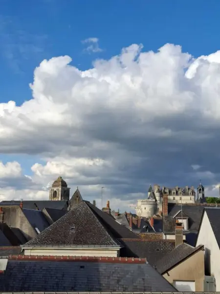 Grand T2 centre historique d' Amboise-bords de Loire - Photo 17
