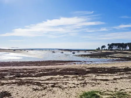 Men Er Bellec, Appartement 5 personnes à Saint Philibert - Photo 21