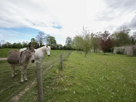 Maison spacieuse à Saint-Martin-des-Entrées avec jardin - Photo 35