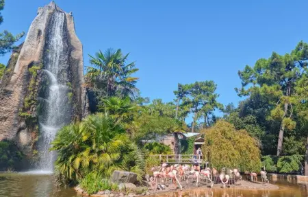 Location Maison 10 personnes à Royan - Photo 27