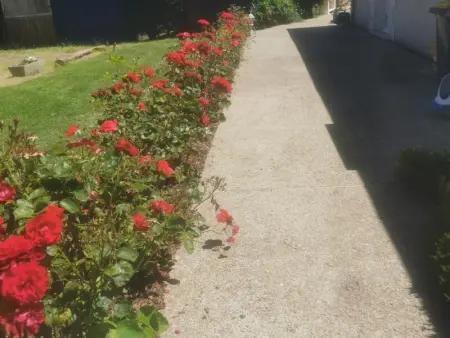 Gîte moderne à Amboise avec piscine, jardin et wifi - Photo 21