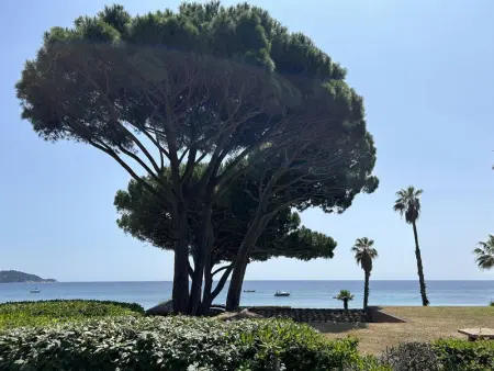 Studio avec mezzanine 6 pers, piscine, parking privé - Photo 13
