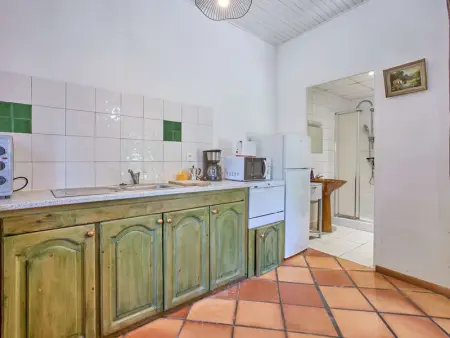 Charmant T2 avec terrasse fleurie, WiFi, animaux admis - Photo 5