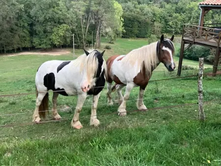Le Mas dAmour, Maison 3 personnes à Montcabrier - Photo 53