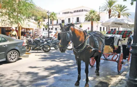 Maison 8 personnes à Mijas - Photo 35