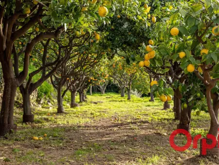Appart lumineux à Menton avec piscine et Wi-Fi inclus - Photo 16