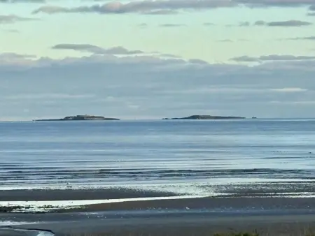 Maison entre mer et marais près d'Utah Beach, Gite 4 personnes à Fontenay sur Mer - Photo 23
