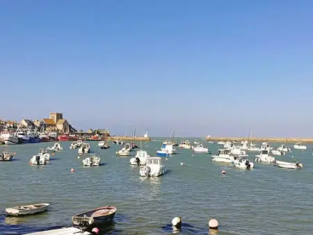 Appartement lumineux avec jardin privé et animaux admis à Barfleur - Photo 7