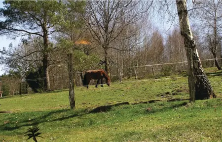 Maison 4 personnes à Saulxures - Photo 8