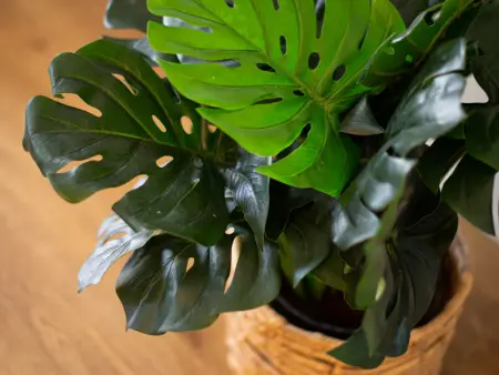 Elégant appartement rénové à El Cotillo, vue mer - Photo 31