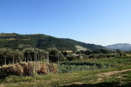 Casetto, Maison 6 personnes à Modigliana - Photo 33