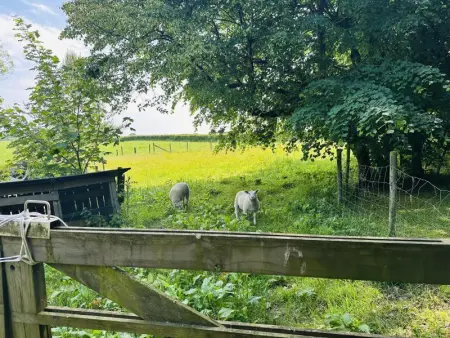 Les Ecuries du Lac, Maison 14 personnes à Waimes - Photo 41