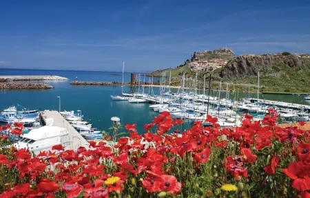 Mare dei Ginepri bilocale, Appartement 4 personnes à Badesi OT - Photo 17