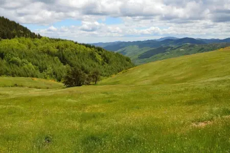 Camino, Appartement 6 personnes à Modigliana - Photo 34
