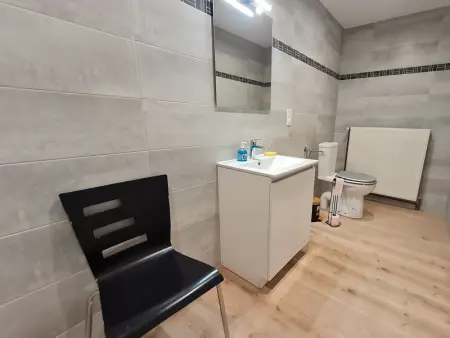 Grand gîte tout équipé à la ferme, idéal pour familles et amis, avec terrasse et proche de loisirs - Photo 19