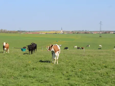 Grand gîte tout équipé à la ferme, idéal pour familles et amis, avec terrasse et proche de loisirs - Photo 26