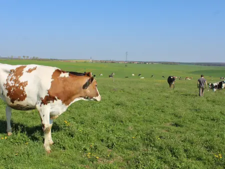 Grand gîte tout équipé à la ferme, idéal pour familles et amis, avec terrasse et proche de loisirs - Photo 27