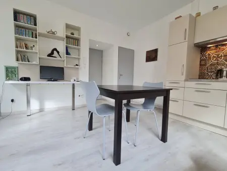 Charmant T2 lumineux à Nancy, quartier Haussonville - Photo 4