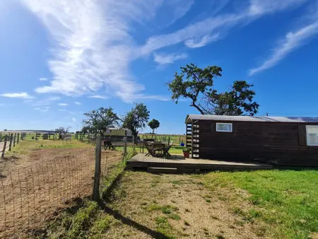 Roulotte authentique en pleine nature près de Nancy - Photo 4
