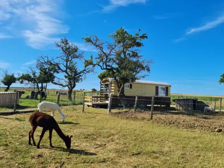 Roulotte Bohème Confort au Sud de Nancy, Gite 4 personnes à Burthecourt aux Chênes - Photo 0