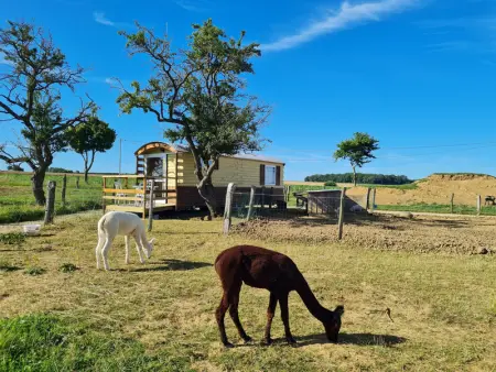 Roulotte Bohème Confort au Sud de Nancy, Gite 4 personnes à Burthecourt aux Chênes - Photo 10