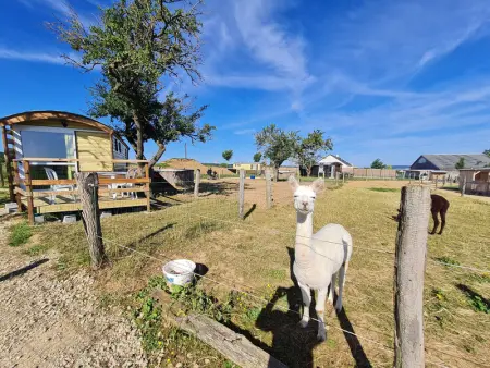 Roulotte Bohème Confort au Sud de Nancy, Gite 4 personnes à Burthecourt aux Chênes - Photo 11