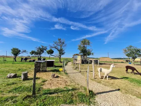 Roulotte Bohème Confort au Sud de Nancy, Gite 4 personnes à Burthecourt aux Chênes - Photo 12