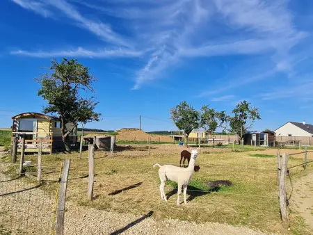 Roulotte Bohème Confort au Sud de Nancy, Gite 4 personnes à Burthecourt aux Chênes - Photo 14