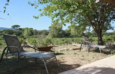 Maison charmante près des vignes - 80 m², Maison 5 personnes à La Garde Freinet - Photo 35