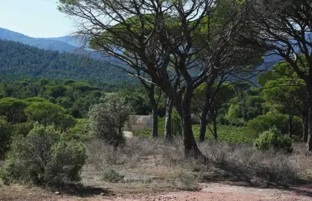 Maison charmante près des vignes - 80 m², Maison 5 personnes à La Garde Freinet - Photo 45