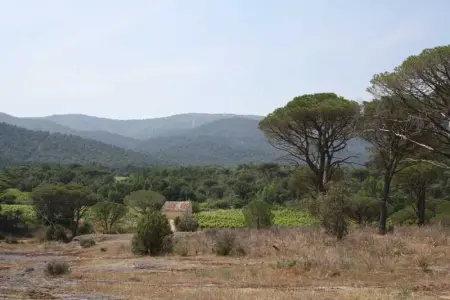 Maison charmante près des vignes - 80 m², Maison 5 personnes à La Garde Freinet - Photo 56