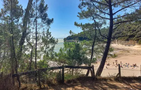 Maison accès plage direct, Maison 5 personnes à Meschers sur Gironde - Photo 23