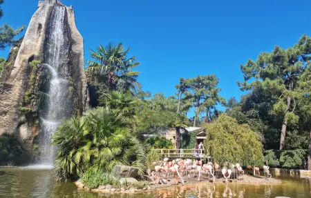 Maison accès plage direct, Maison 5 personnes à Meschers sur Gironde - Photo 26
