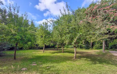 Location Maison 8 personnes à Névez - Photo 12