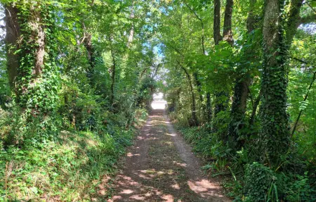 Location Maison 8 personnes à Névez - Photo 29