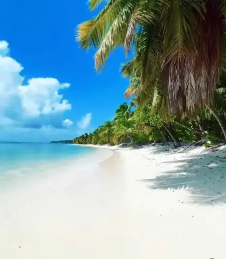 Appartement spacieux au Diamant, 150 m² avec piscine - Photo 26