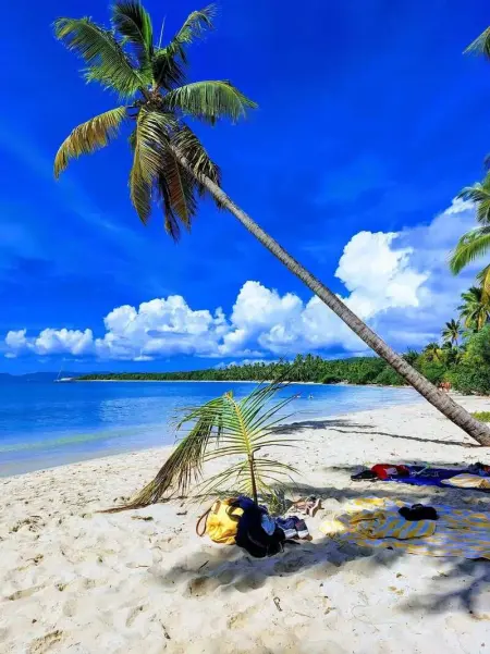 Appartement spacieux au Diamant, 150 m² avec piscine - Photo 27