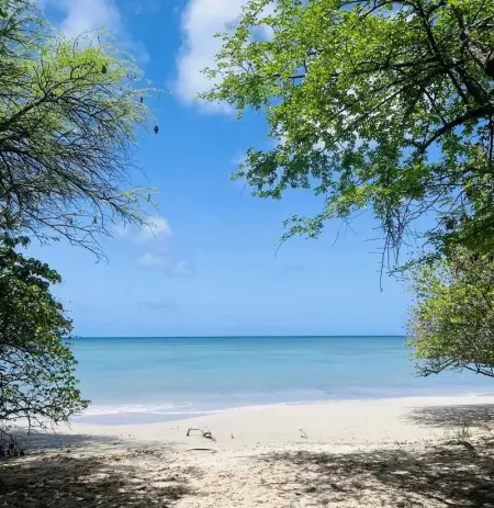 Appartement spacieux au Diamant, 150 m² avec piscine - Photo 31