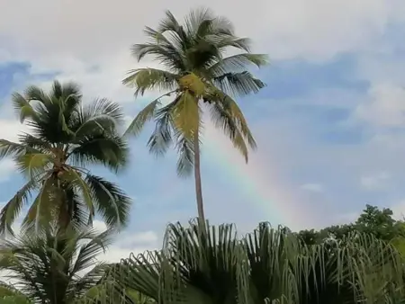 Chalet confortable avec entrée privée à Pointe-Noire - Photo 28